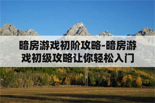 暗房游戏初阶攻略-暗房游戏初级攻略让你轻松入门