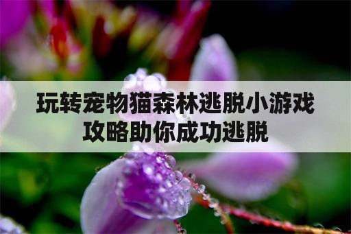 玩转宠物猫森林逃脱小游戏攻略助你成功逃脱 玩转宠物猫森林逃脱小游戏攻略助你成功逃脱