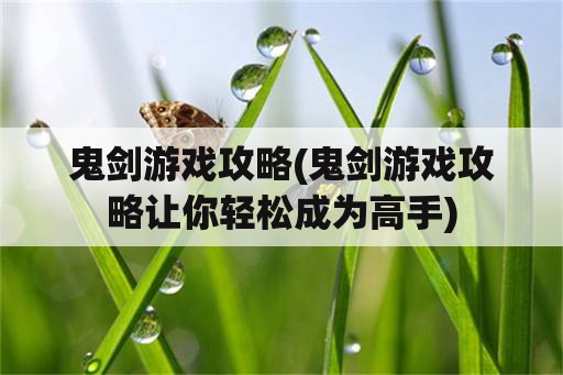 鬼剑游戏攻略(鬼剑游戏攻略让你轻松成为高手)