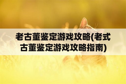 老古董鉴定游戏攻略(老式古董鉴定游戏攻略指南)