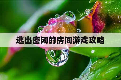 逃出密闭的房间游戏攻略