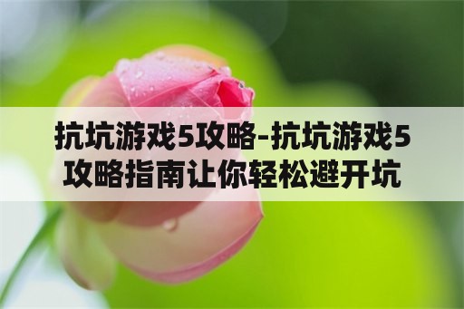 抗坑游戏5攻略-抗坑游戏5攻略指南让你轻松避开坑