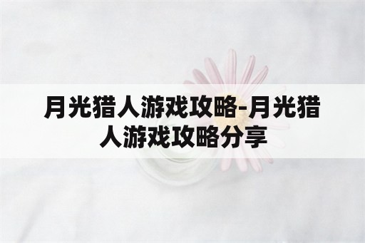 月光猎人游戏攻略-月光猎人游戏攻略分享