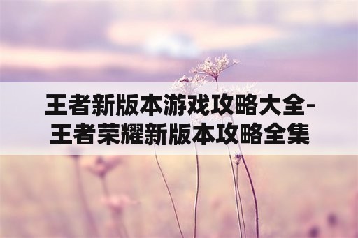 王者新版本游戏攻略大全-王者荣耀新版本攻略全集