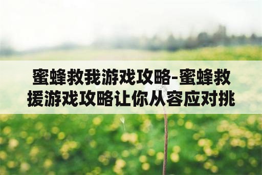 蜜蜂救我游戏攻略-蜜蜂救援游戏攻略让你从容应对挑战