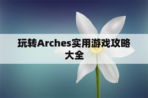 玩转Arches实用游戏攻略大全