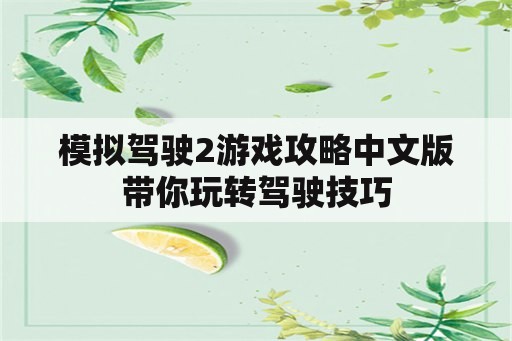 模拟驾驶2游戏攻略中文版带你玩转驾驶技巧