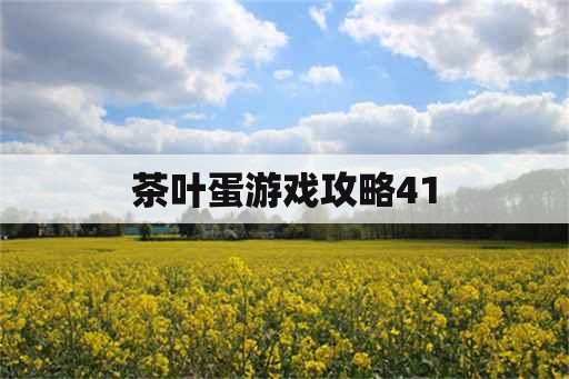 茶叶蛋游戏攻略41