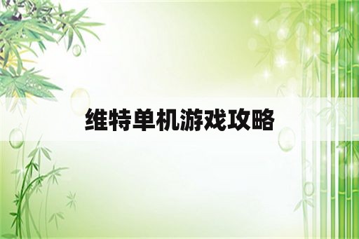 维特单机游戏攻略