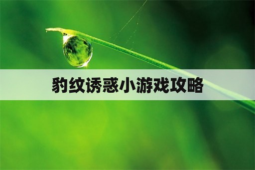 豹纹诱惑小游戏攻略