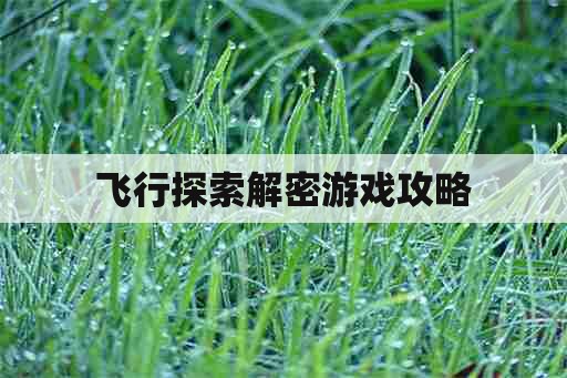 飞行探索解密游戏攻略