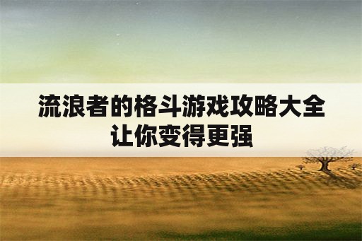 流浪者的格斗游戏攻略大全让你变得更强