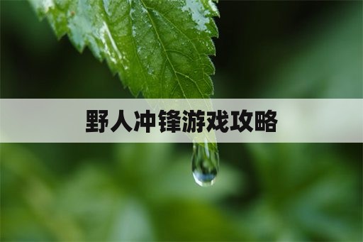 野人冲锋游戏攻略