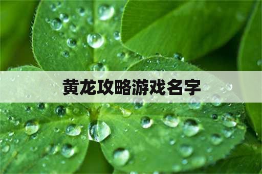 黄龙攻略游戏名字