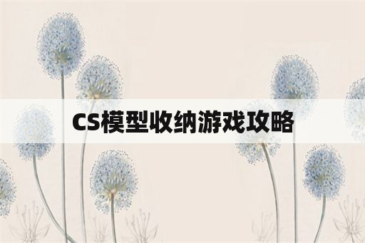 CS模型收纳游戏攻略