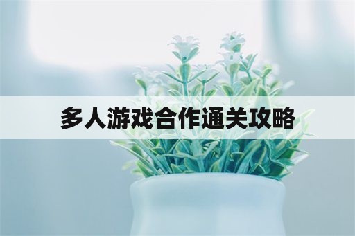 多人游戏合作通关攻略