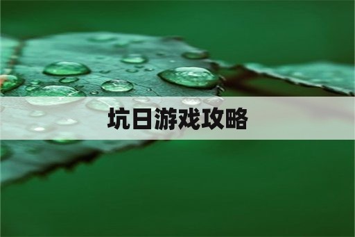 坑日游戏攻略