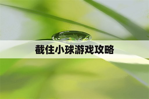 截住小球游戏攻略