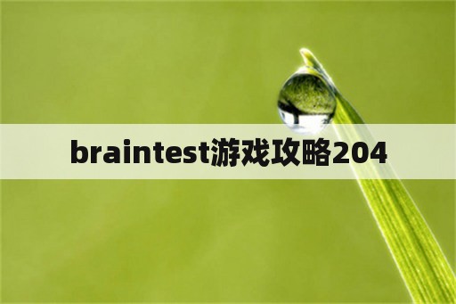 braintest游戏攻略204