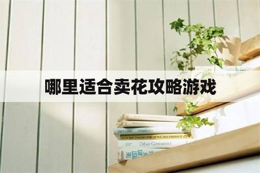 哪里适合卖花攻略游戏