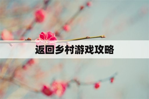 返回乡村游戏攻略