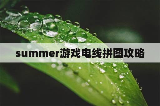 summer游戏电线拼图攻略