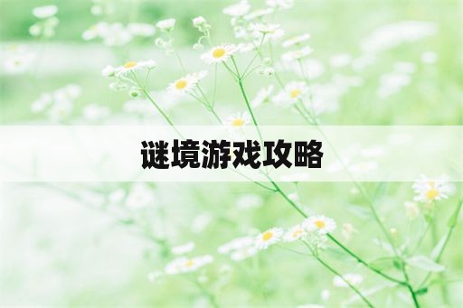 谜境游戏攻略