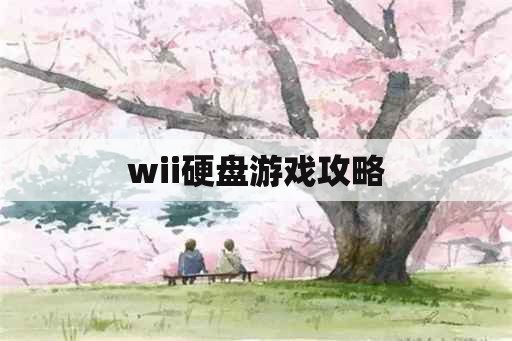 wii硬盘游戏攻略