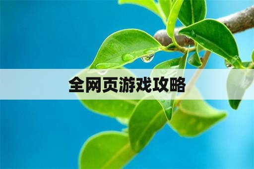 全网页游戏攻略