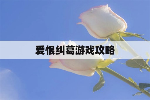 爱恨纠葛游戏攻略