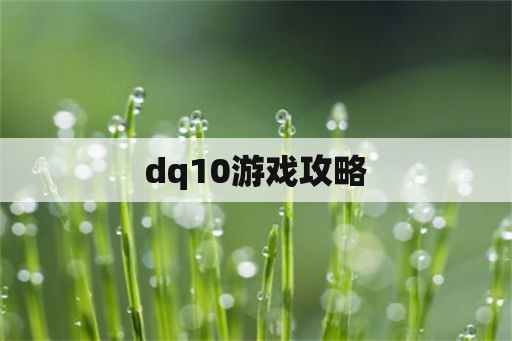 dq10游戏攻略