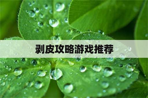 剥皮攻略游戏推荐