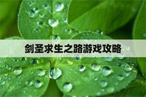 剑圣求生之路游戏攻略