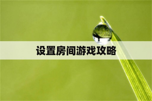 设置房间游戏攻略