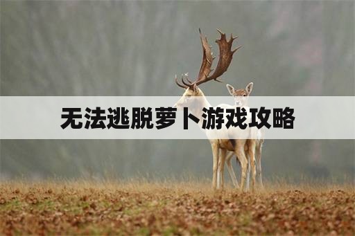 无法逃脱萝卜游戏攻略