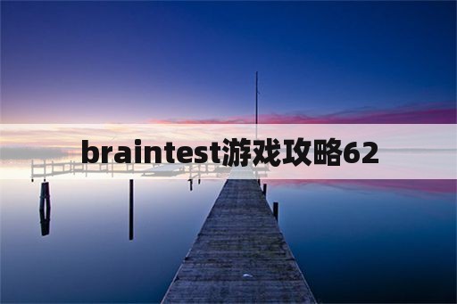 braintest游戏攻略62