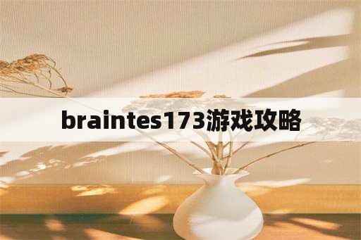 braintes173游戏攻略