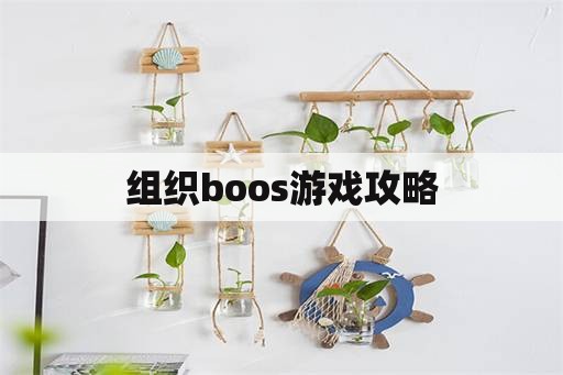 组织boos游戏攻略