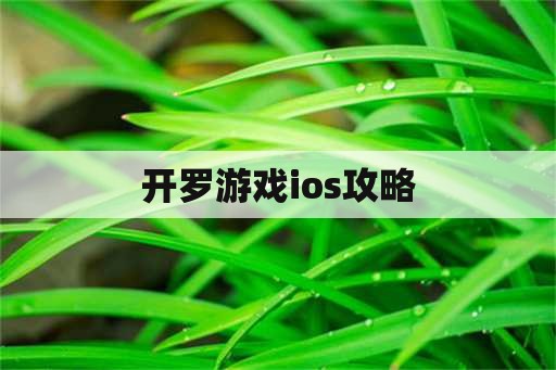 开罗游戏ios攻略