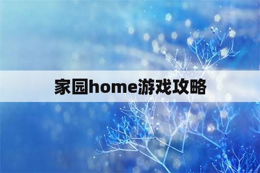 家园home游戏攻略