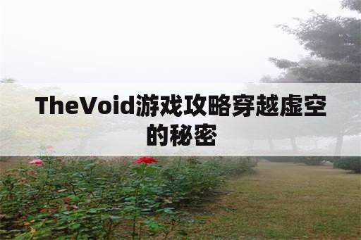 TheVoid游戏攻略穿越虚空的秘密