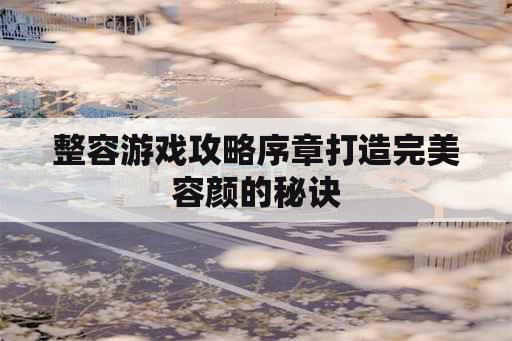 整容游戏攻略序章打造完美容颜的秘诀