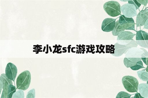 李小龙sfc游戏攻略