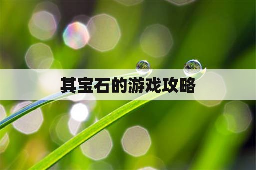 其宝石的游戏攻略