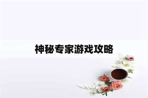 神秘专家游戏攻略