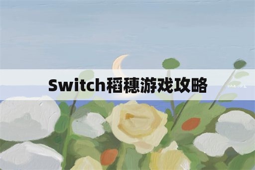 Switch稻穗游戏攻略