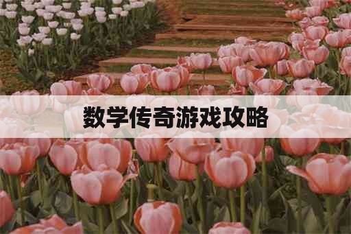 数学传奇游戏攻略