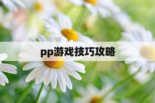 pp游戏技巧攻略