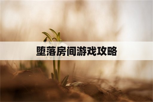 堕落房间游戏攻略