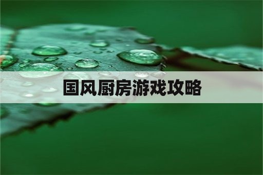 国风厨房游戏攻略